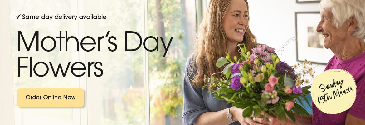 Seasonal bouquets from Alkrington flowers in Middleton offering same-day delivery